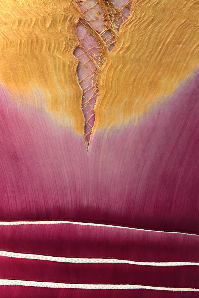 Cedric Pollet pour Agence Verbatim